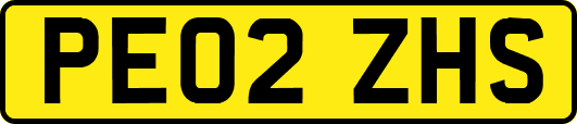 PE02ZHS