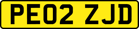 PE02ZJD