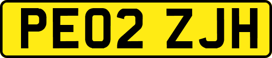 PE02ZJH