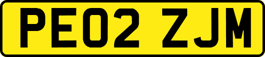 PE02ZJM