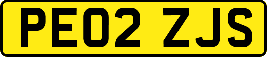 PE02ZJS