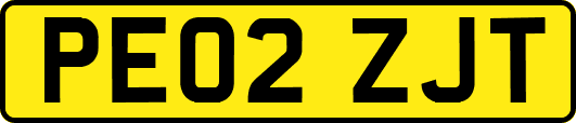 PE02ZJT