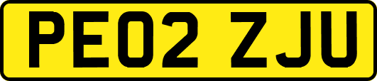 PE02ZJU