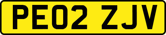 PE02ZJV