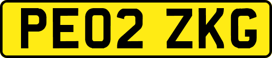 PE02ZKG