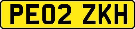 PE02ZKH