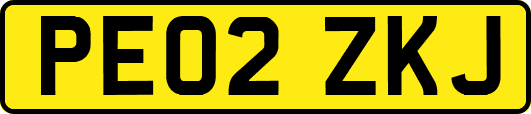 PE02ZKJ