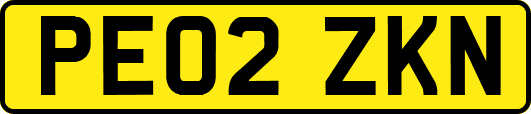 PE02ZKN