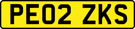 PE02ZKS