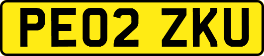 PE02ZKU