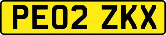 PE02ZKX