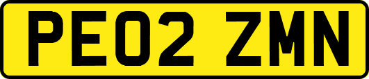 PE02ZMN