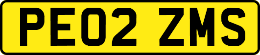 PE02ZMS