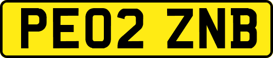 PE02ZNB