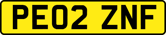 PE02ZNF