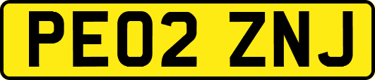 PE02ZNJ