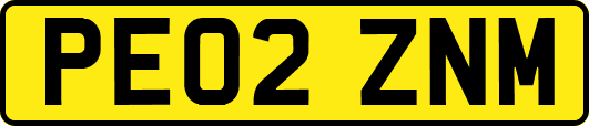 PE02ZNM