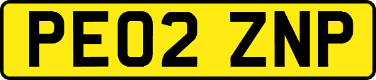 PE02ZNP