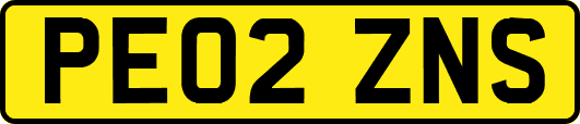 PE02ZNS