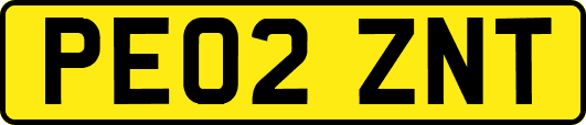 PE02ZNT
