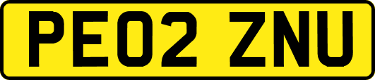 PE02ZNU