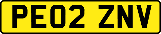 PE02ZNV