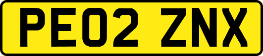 PE02ZNX