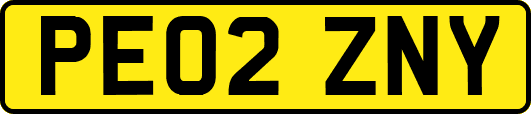 PE02ZNY