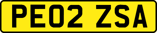 PE02ZSA