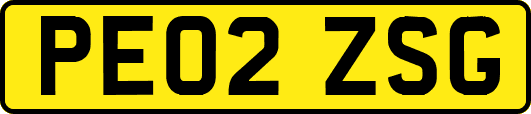 PE02ZSG