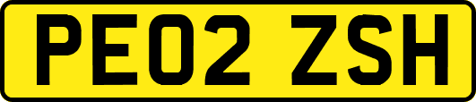 PE02ZSH