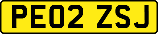 PE02ZSJ