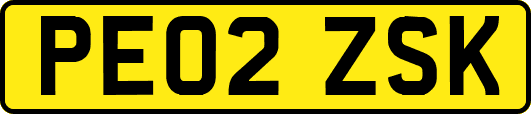 PE02ZSK