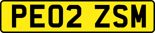 PE02ZSM