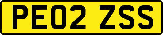 PE02ZSS