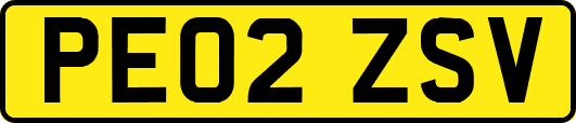 PE02ZSV
