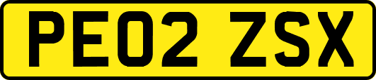 PE02ZSX
