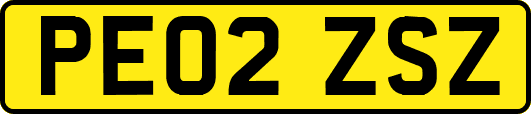 PE02ZSZ