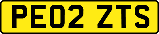PE02ZTS