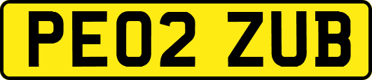PE02ZUB
