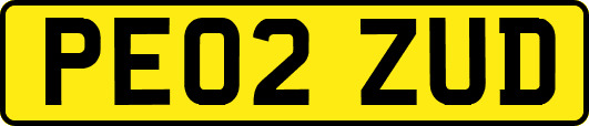 PE02ZUD