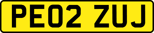 PE02ZUJ