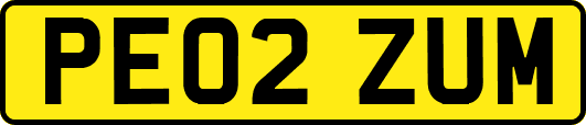 PE02ZUM