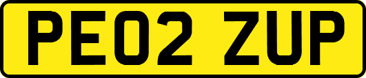 PE02ZUP