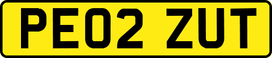 PE02ZUT