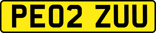 PE02ZUU