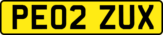 PE02ZUX