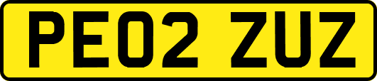 PE02ZUZ