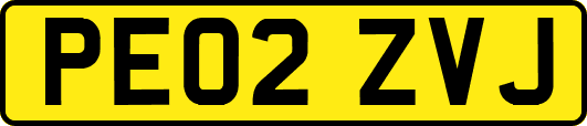 PE02ZVJ