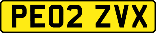 PE02ZVX